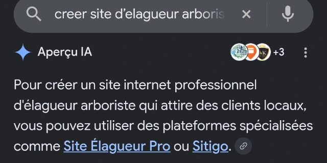 Aperçu IA de Google citant Sitigo sur la recherche « creer site d’elagueur arboriste » (capture d'écran, août 2026)