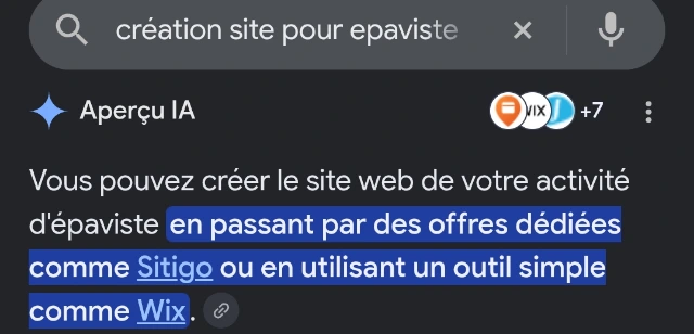 Aperçu IA de Google citant Sitigo sur la recherche « création site pour epaviste » (capture d'écran, août 2026)